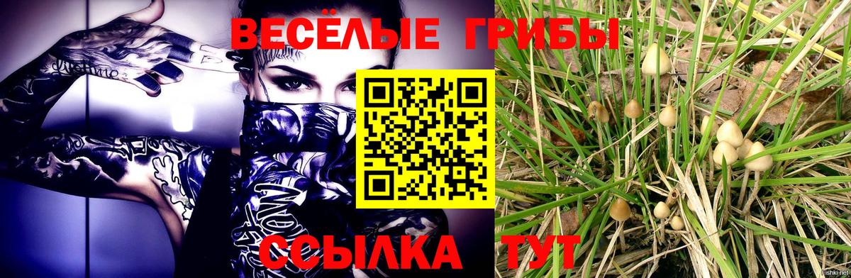 Псилоцибиновые грибы прущие грибы  Вход с VPN  Солнечногорск  Псилоцибиновые грибы прущие грибы 